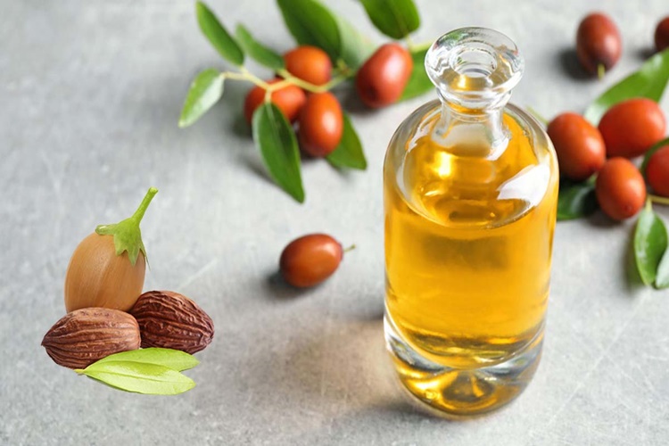 Jojoba Yağı Yüze Sürülür Mü?