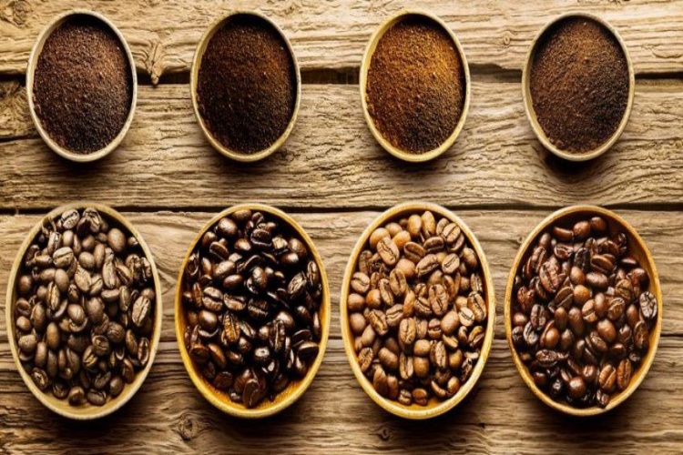 Kahve Bitkisinin Anavatanı Neresidir?