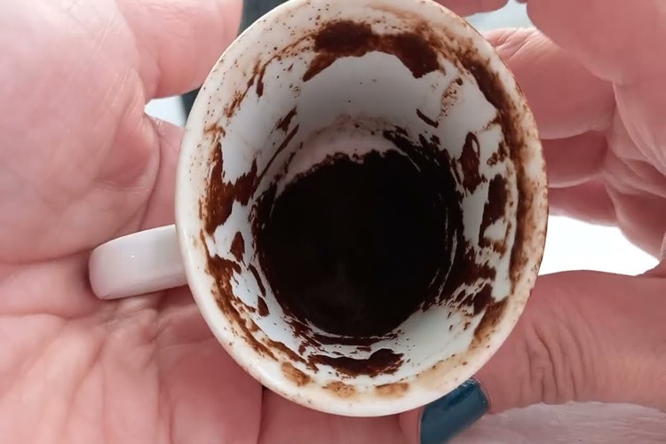 Kahve Falında Tabakta Balık Görmek Ne Anlama Gelir?