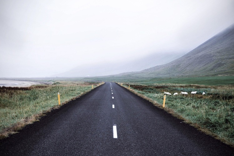 Kahve Falında Yol Üzerinde Kalp Görmek Ne Anlama Gelir?