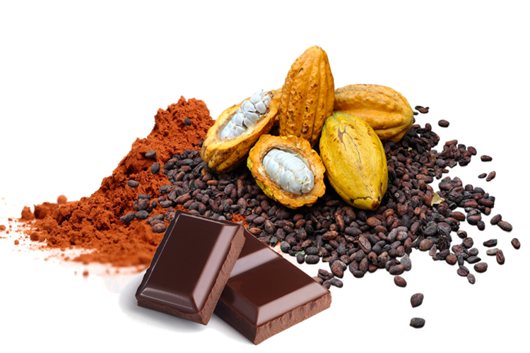 Kakao Ağacı Nasıl Kurutulur?