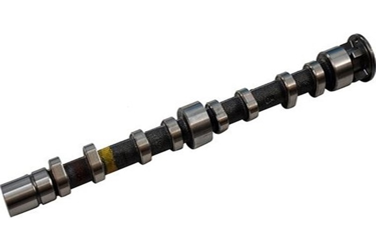 Kam Mili Nedir? Çeşitleri Nelerdir?