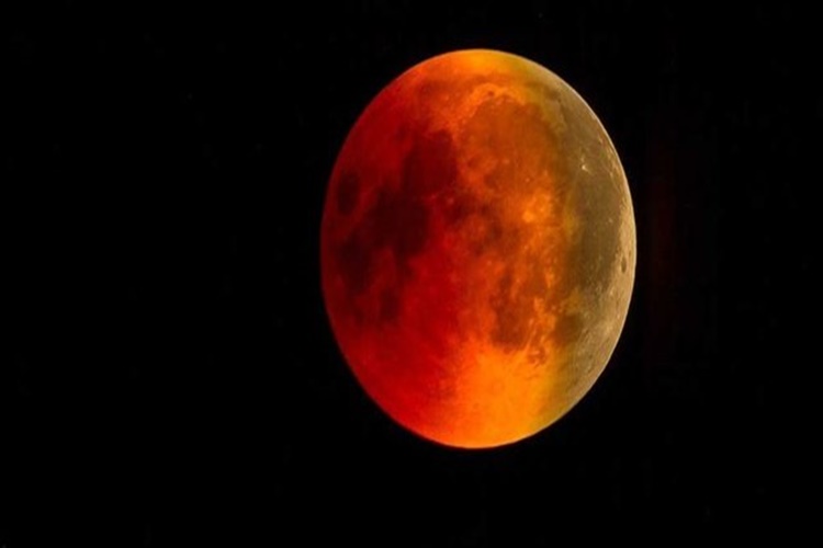 Kanlı Ay Tutulması 2022 Hayvanları Etkiler Mi?