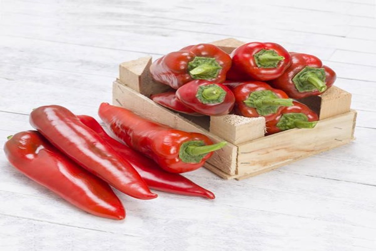 Kapya Biber Şişede Nasıl Yapılır?