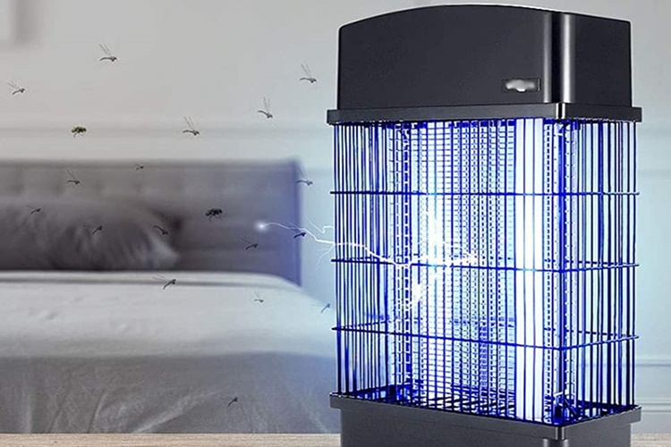 Kara Sinek Mavi Işıktan Kaçar Mı?