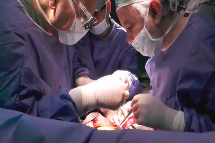 Karaciğer Nakli İle İlgili Bilinmesi Gerekenler Nelerdir?