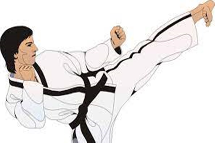 Karate Olimpik Bir Spor Mudur?