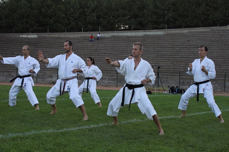 Karate Teknikleri Nelerdir?