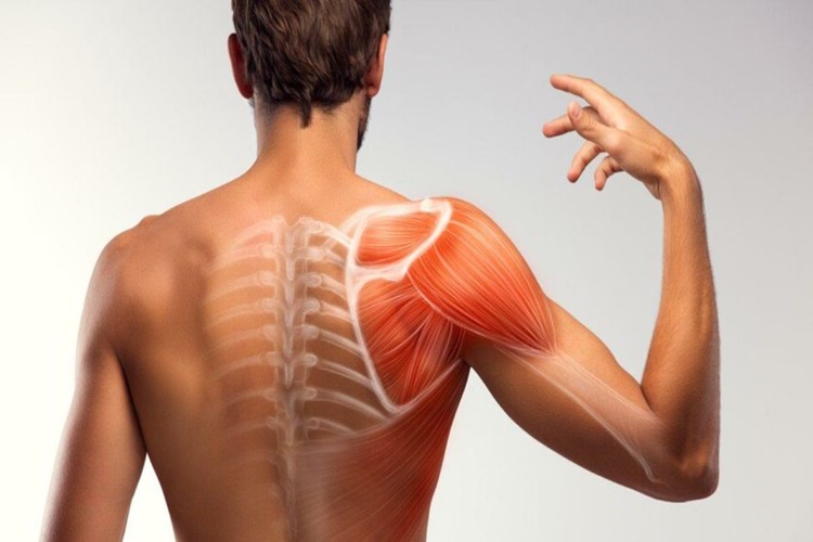 Kas Ağrıları Hakkında Merak Edilen Bilgiler