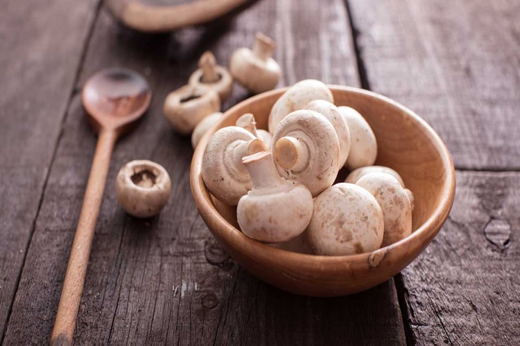 Kaşarlı Kültür Mantarı Nasıl Yapılır?