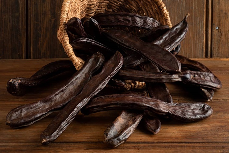 Keçiboynuzu Hangi Ayda Toplanır?