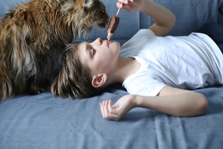 Kedi Dondurma Yer Mi?