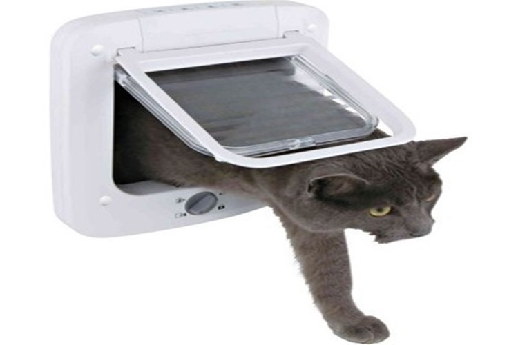 Kedi Kapısı Nedir?