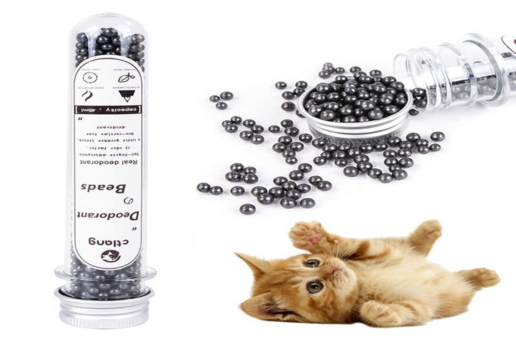 Kedi Kumu Kokusu Zararlı Mı? 