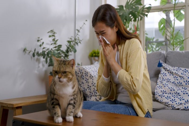 Kedi Paraziti İnsana Bulaşır Mı?