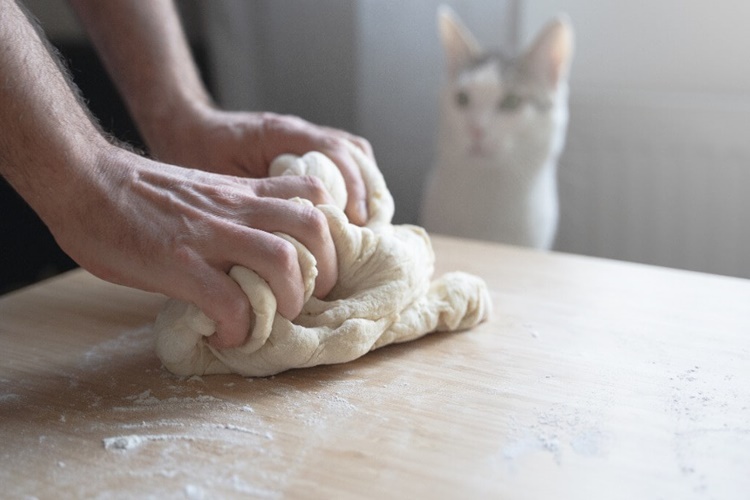 Kedi Un Yer Mi?