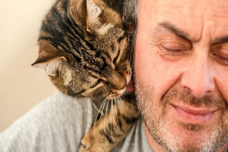 Kedilerde Depresyon Ne Kadar Sürer? 