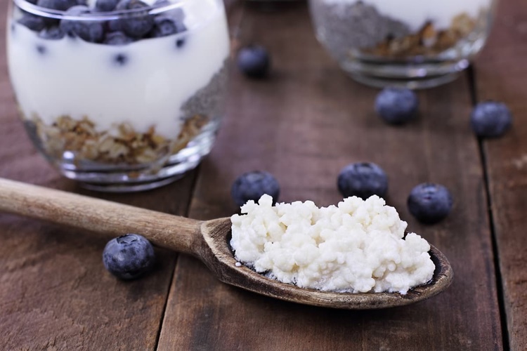 Kefir basura iyi gelir mi?