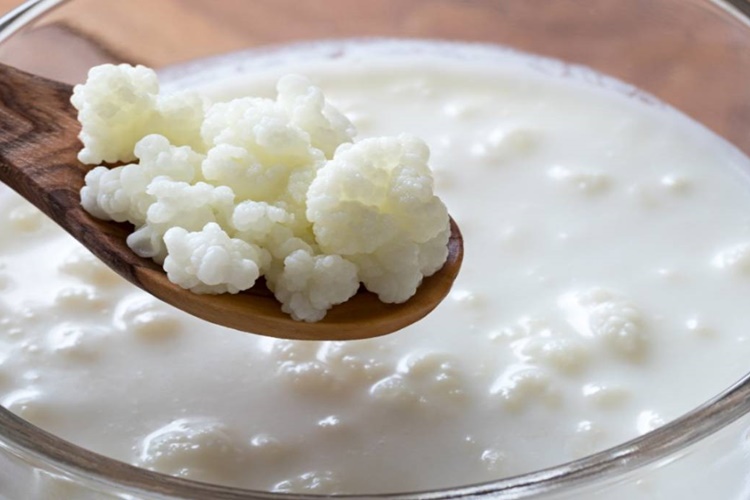 Kefir Kaç Günde Bozulur?
