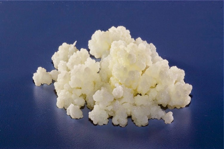 Kefir Mantara İyi Gelir Mi?