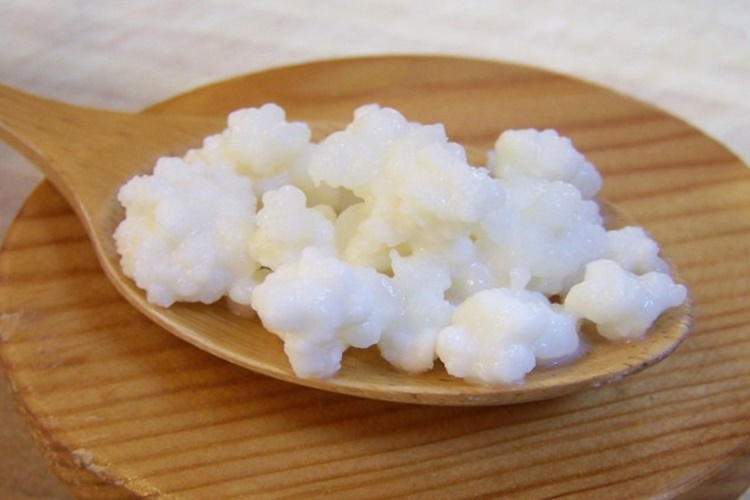 Kefir Mayası Dışarıda Ne Kadar Dayanır?