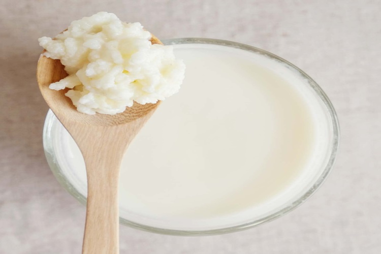 Kefir Mayası Hangi Marketlerde Var?