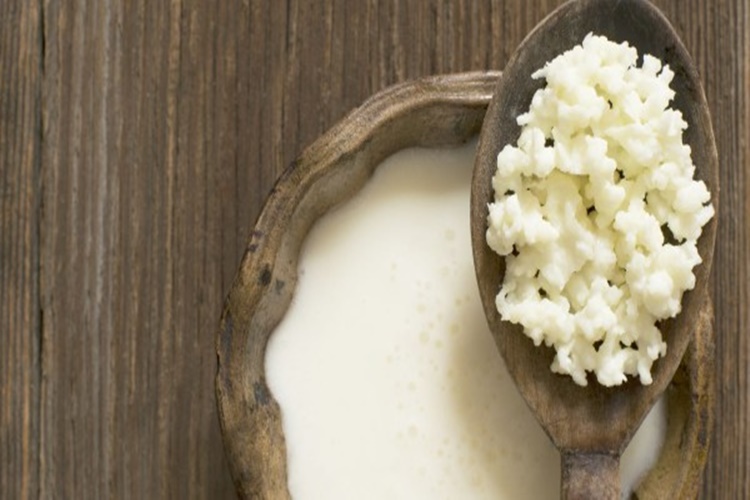 Kefir Mayası Nasıl Dondurulur?