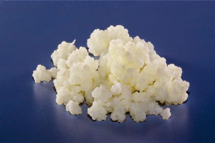 Kefir Mayası Nasıl Kurutulur?
