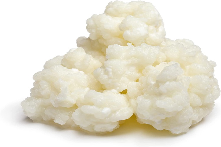 Kefir Mayası Parçalanır Mı?