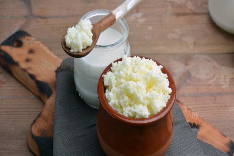 Kefir Mayası Yutulursa Ne Olur?