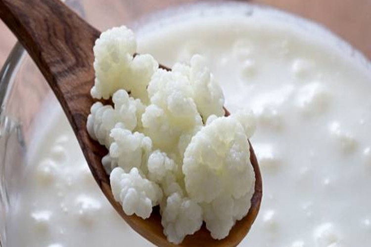 Kefir Mideye İyi Gelir Mi?