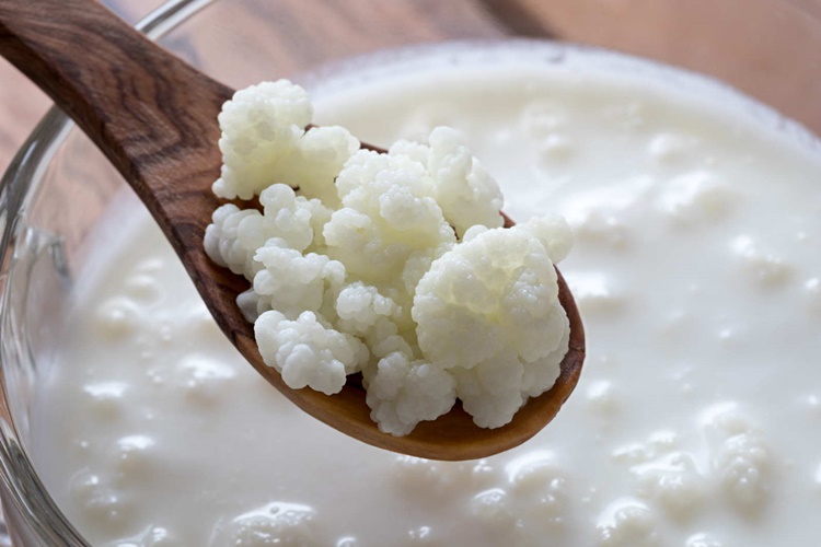 Kefir Nasıl Dondurulur?