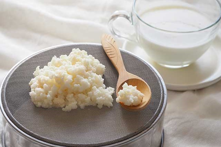 Kefir Pişirilir Mi?