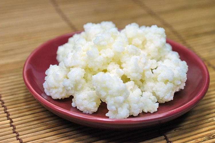 Kefir Probiyotik Midir?