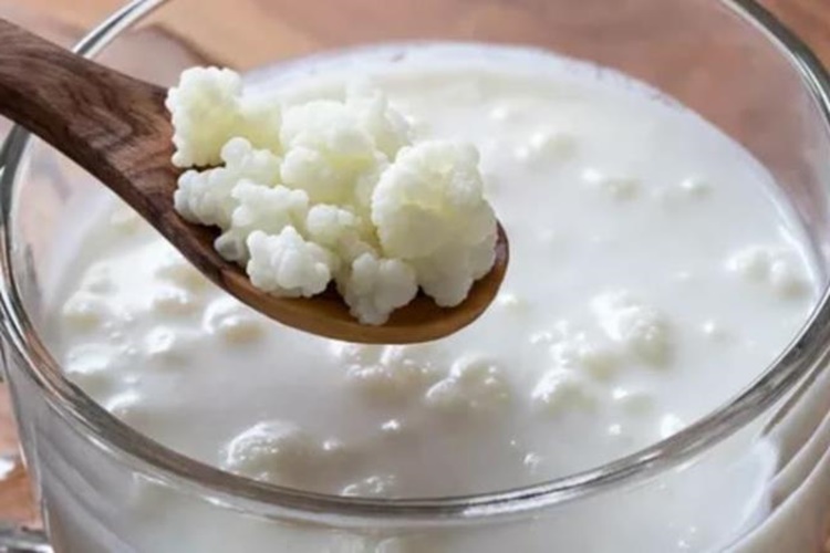 Kefir Tok Tutar Mı?