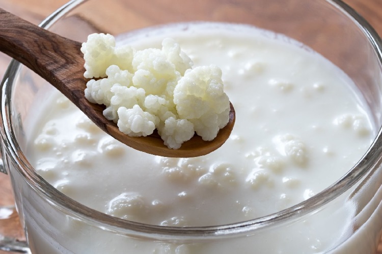 Kefir Ülsere İyi Gelir Mi?