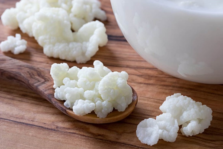 Kefir Uzun Süre Nasıl Saklanır?