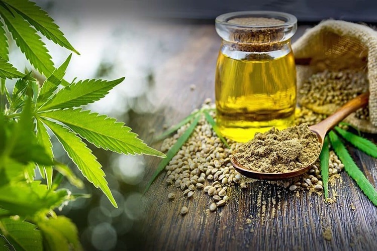 Kenevir Yağı Zararları Nelerdir? 
