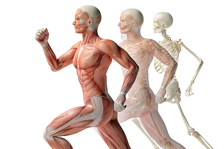 Kinesiyoloji Bandı Nedir?