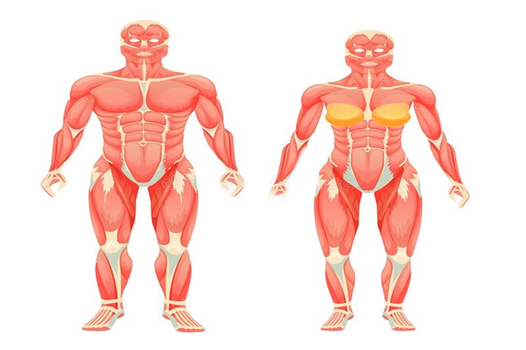 Kinesiyoloji Nedir? 