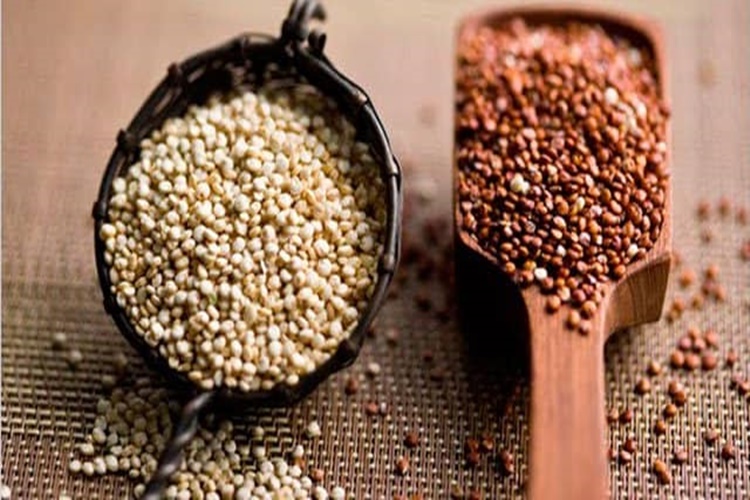 Kinoa Çayı Zayıflatır Mı?