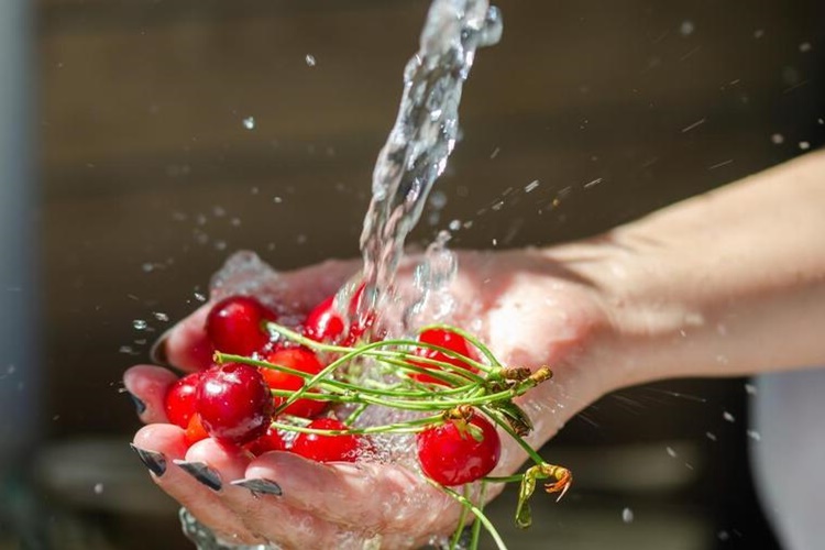 Kiraz Sapı Yerine Vişne Sapı Olur Mu?