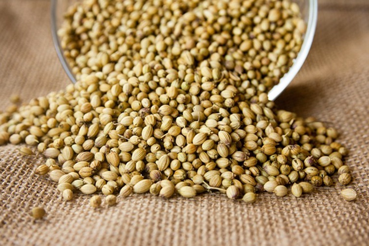 Kişniş Nerelerde Kullanılır?