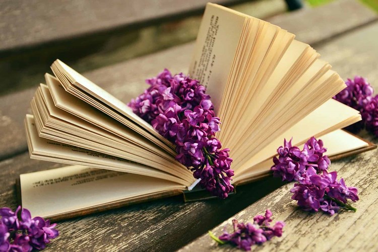 Kitap Okumak Ders Başarısını Nasıl Etkiler?