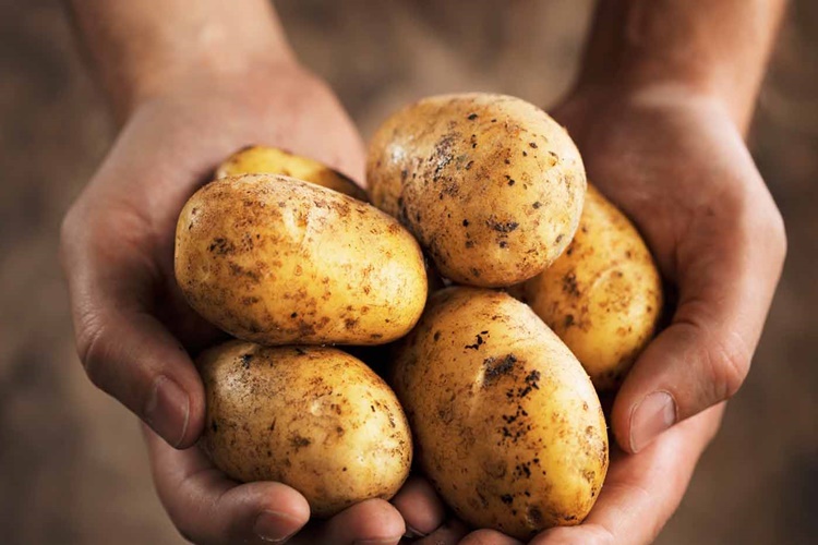 Kızartmalık Patates Nasıl Dondurulur?