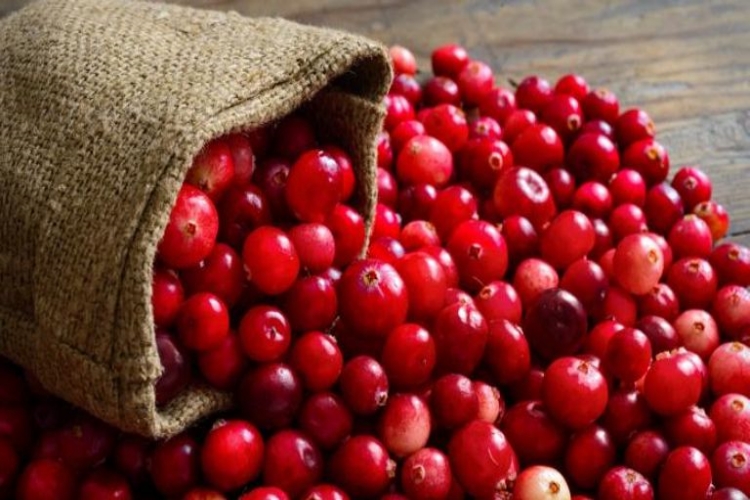 Kızılcık Adet Söktürür Mü?