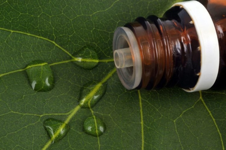 Klorofil Eczanede Satılır Mı?
