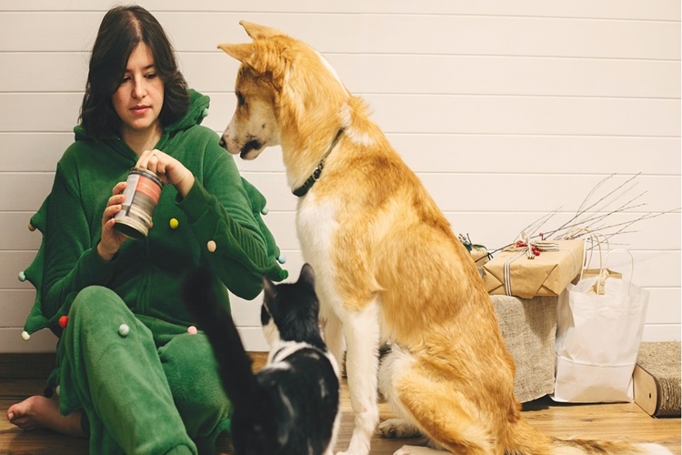 Köpek Çiğ Tavuk Yerse Ne Olur?