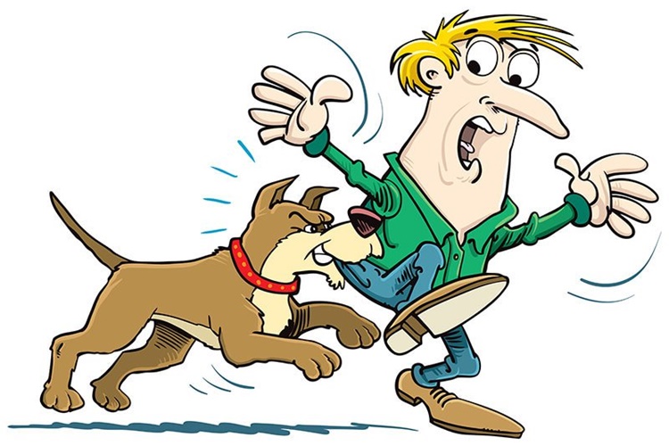 Köpek Isırığına Hangi Krem İyi Gelir?