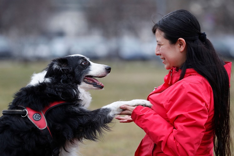 Köpek Kızanı Kaç Günde Geçer?